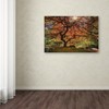 Trademark Fine Art Moises Levy 'The Tree Horizontal' Canvas Art, 30x47 ALI6047-C3047GG